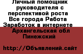 Личный помощник руководителя с перспективой роста - Все города Работа » Заработок в интернете   . Архангельская обл.,Пинежский 